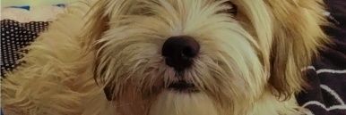 dndeating's profile banner image