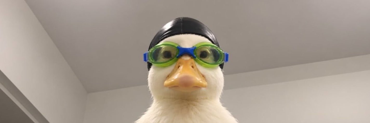NASDUCKOTCc's profile banner image