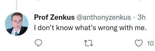 THEE Zenkus Watch banner