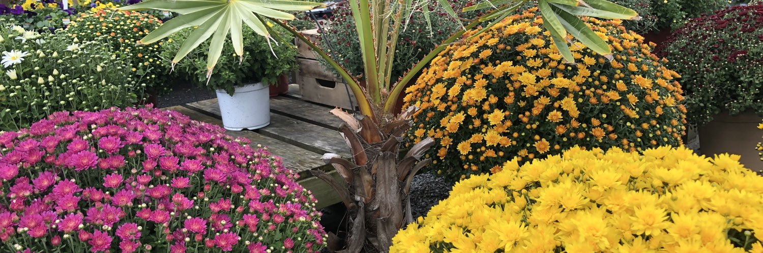 Susan and Kimber banner