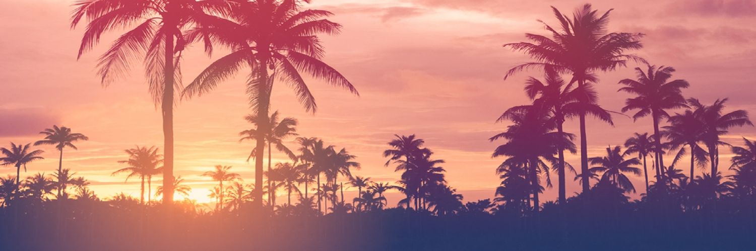 TechVision_'s profile banner image