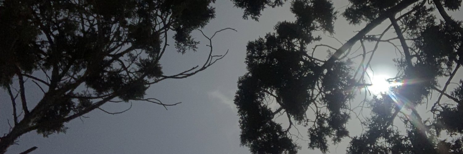 nourahfahd4's profile banner image