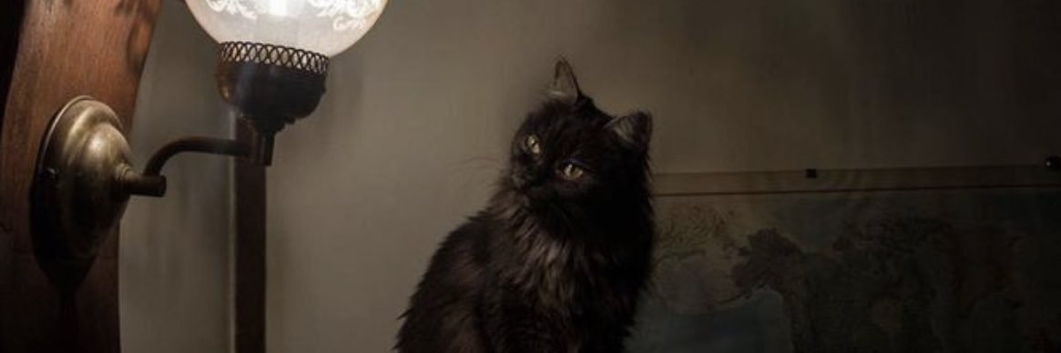 rloxva's profile banner image