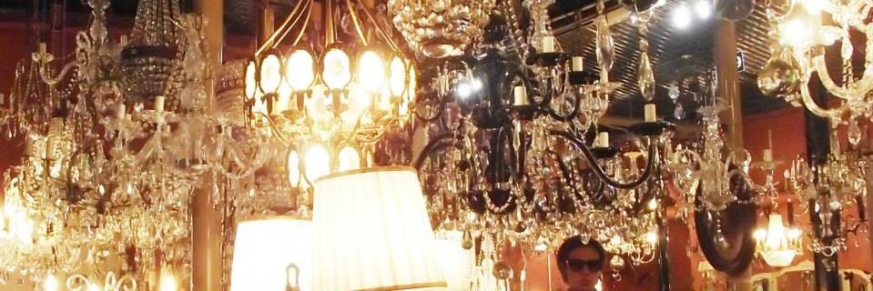 CAROBUNGLE's profile banner image