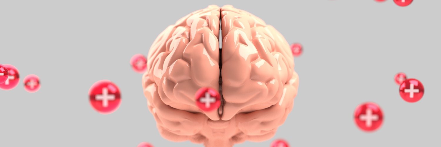 the_root_of_it's profile banner image
