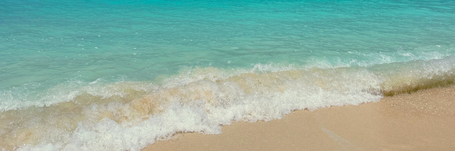 mlksgnt's profile banner image