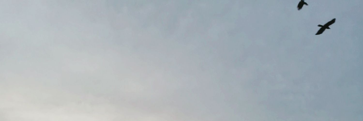mesissippi's profile banner image