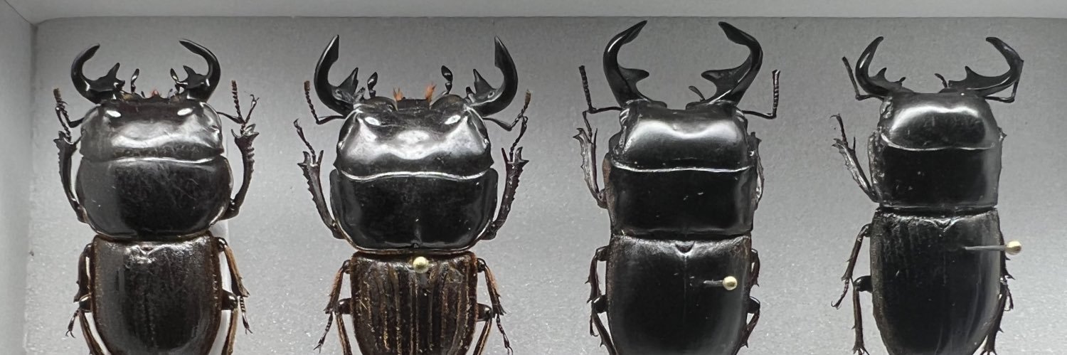 YogurtAmicus banner