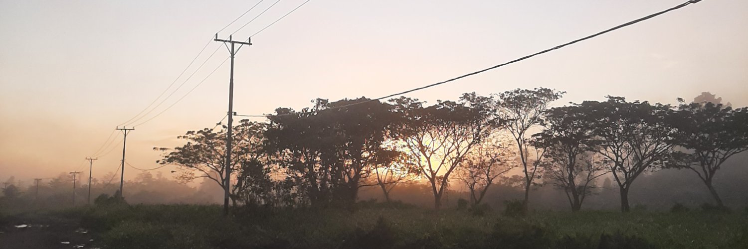 smallfish_a's profile banner image
