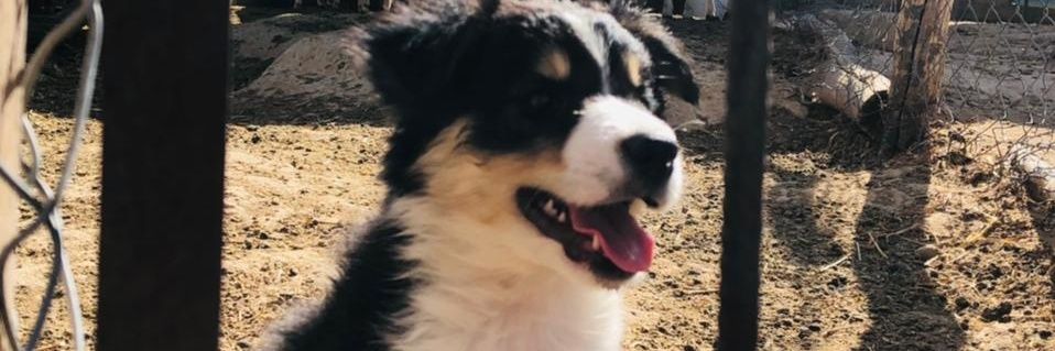 paanquecit's profile banner image