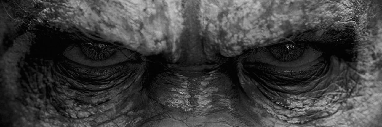 𝐊𝐃 𝐌𝐨𝐬𝐥𝐞𝐲 ⁵ banner