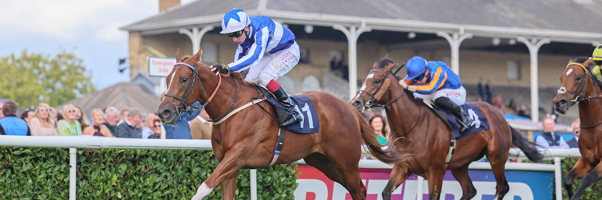 Tim Easterby Racing banner