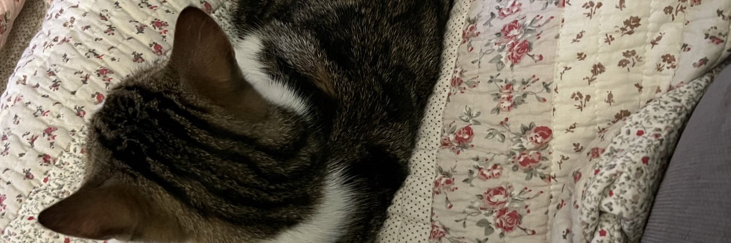 jenjanes_'s profile banner image