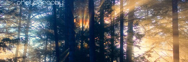 TamaraCamPhoto Profile Banner