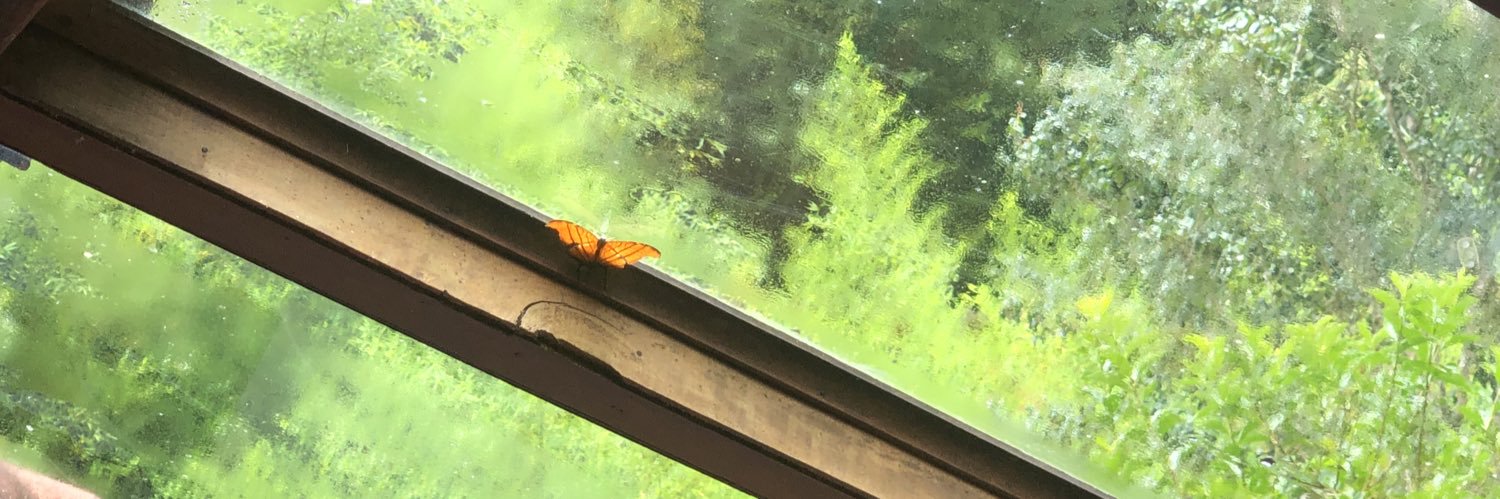 manufuller_'s profile banner image