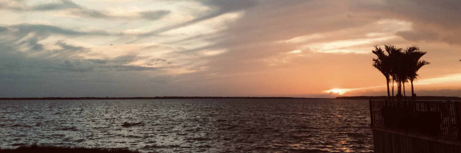 Mars banner