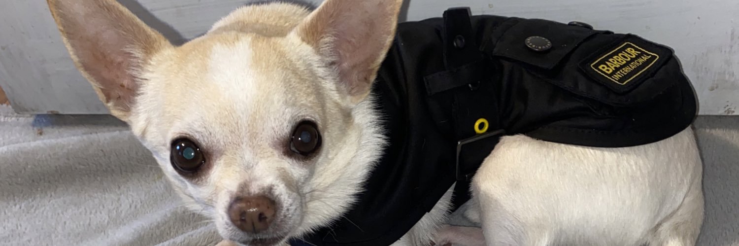 Isabel Holden banner