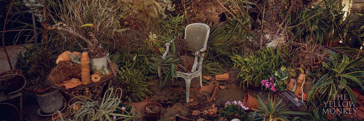 farfugium's profile banner image