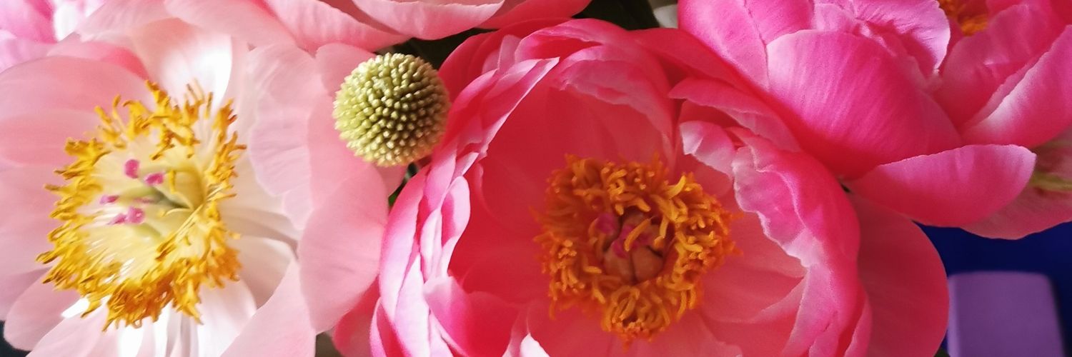 Kerry Taylor-John banner