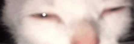 McFluffy banner