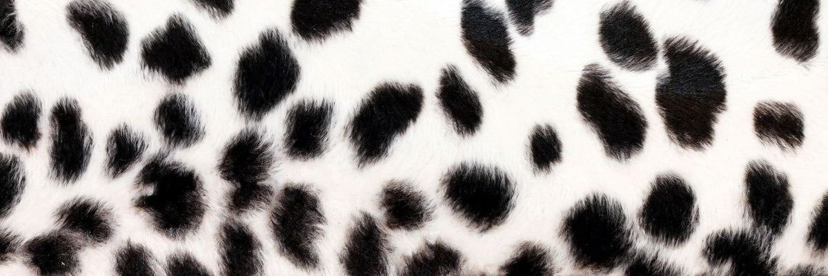 01syrenka's profile banner image