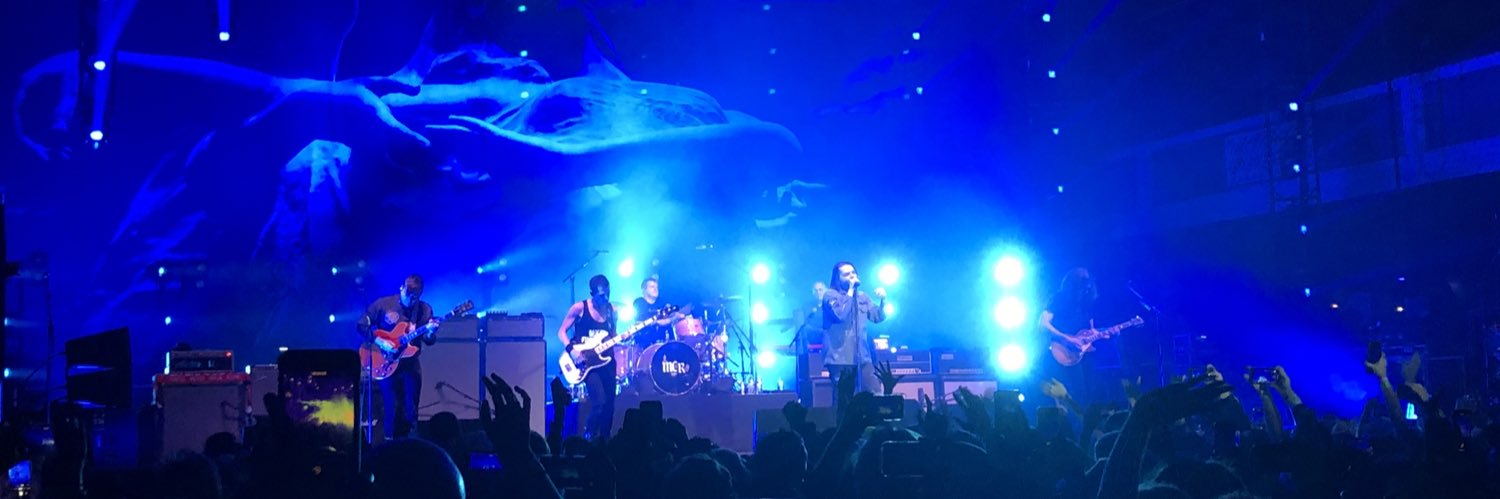 Braden Scothern banner