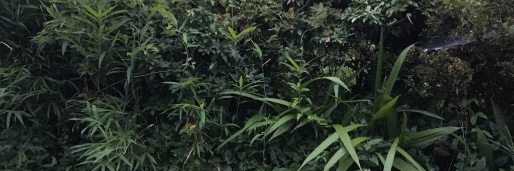 doudemoiiii's profile banner image