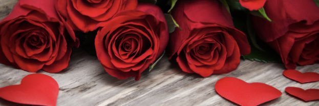 Happy88rose's profile banner image