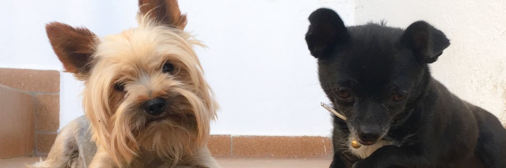 morena_mLnas's profile banner image