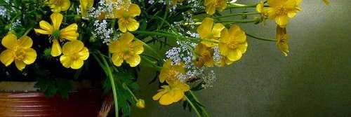 المُشاااكس .. (مجنونٌ رُفِعَ عنهُ القلمُ ) 🇩🇿 banner