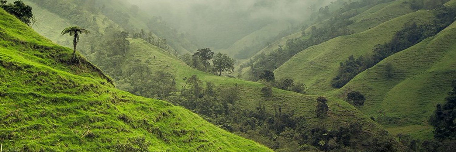 BayadhElkamar's profile banner image