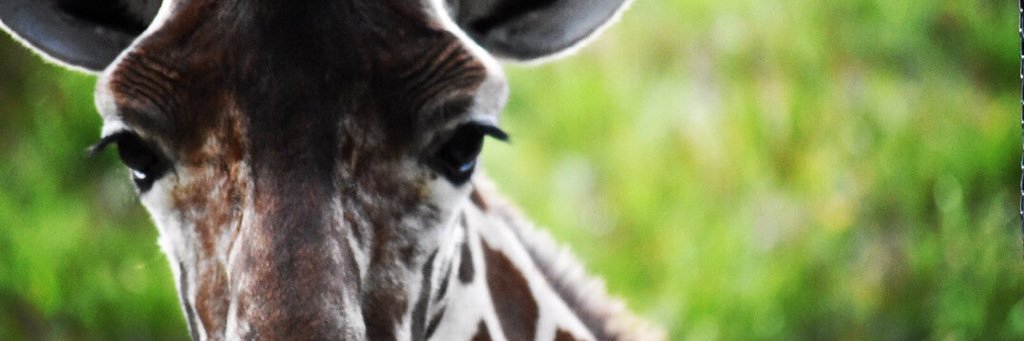 Ginch_SA's profile banner image