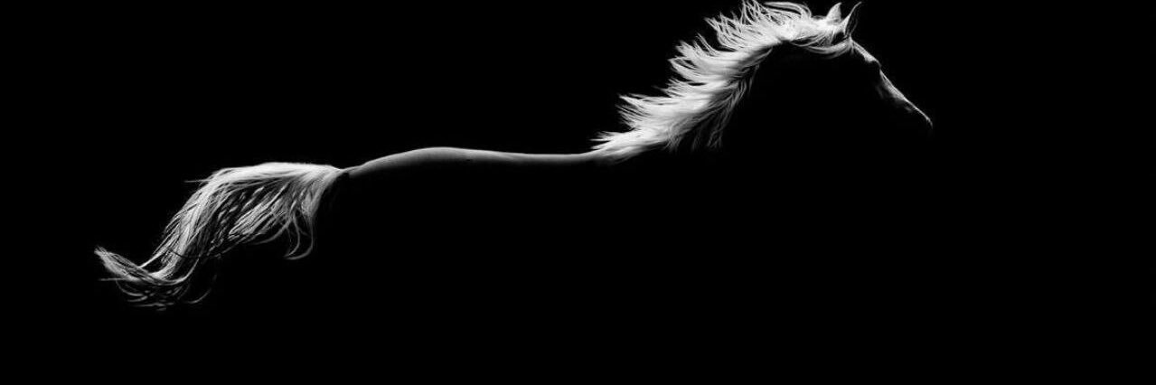 ali_agrd's profile banner image