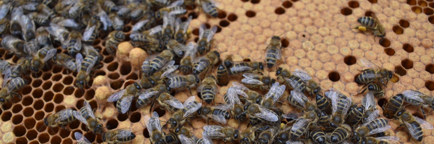 Durham University Beekeeping Society banner