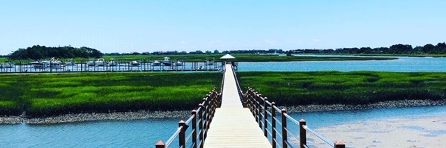 Heidi Lynn Borst banner