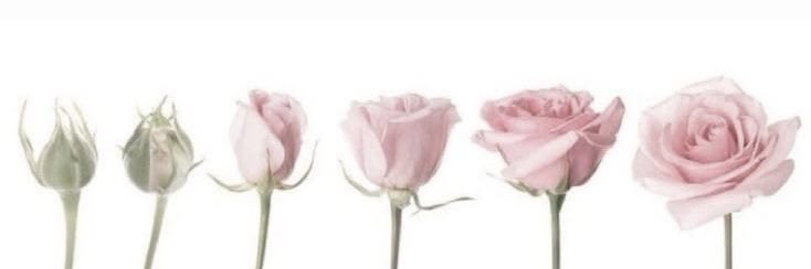 emrym_'s profile banner image