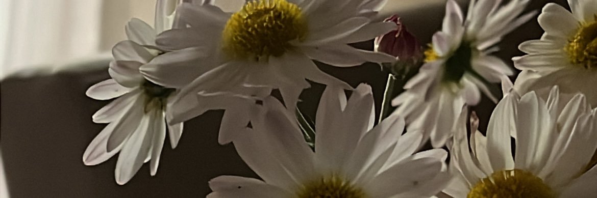 luaruizg's profile banner image