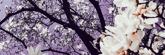 GiselMotta's profile banner image