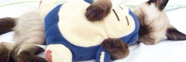Sofiii🪼 BTS 09-10/10!! banner