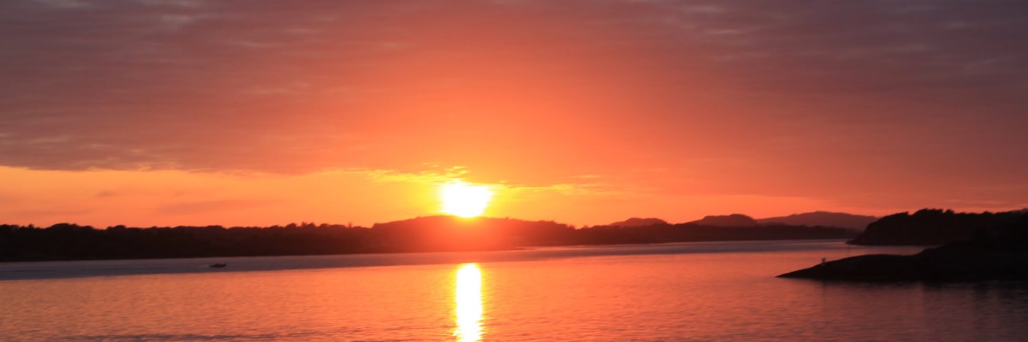 R61551324's profile banner image