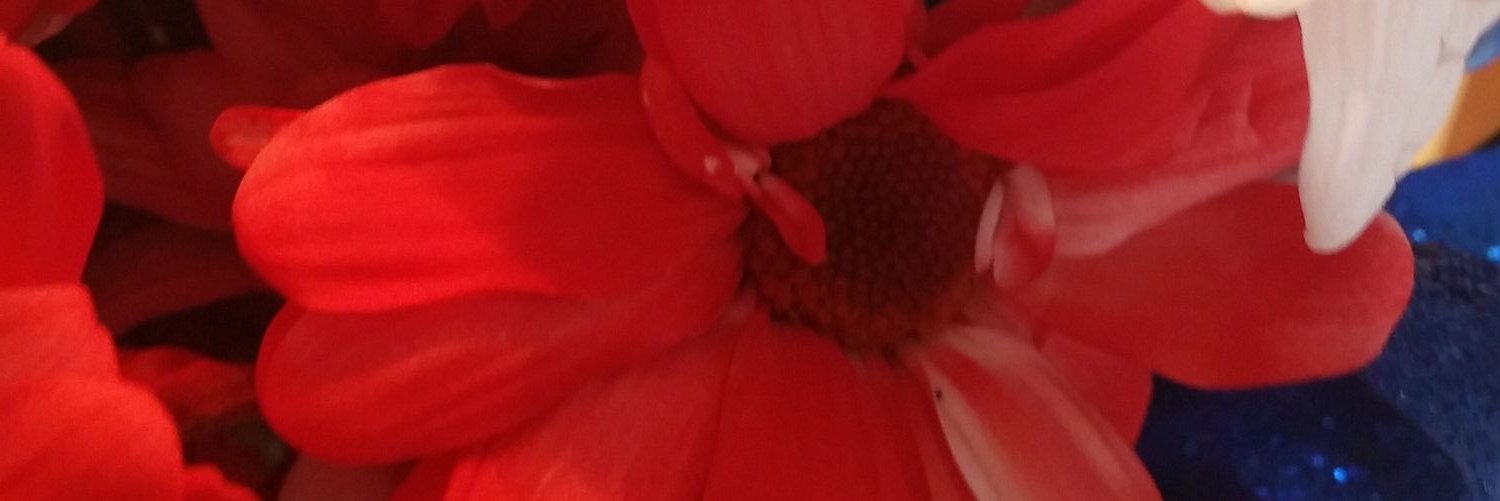KapKristi's profile banner image