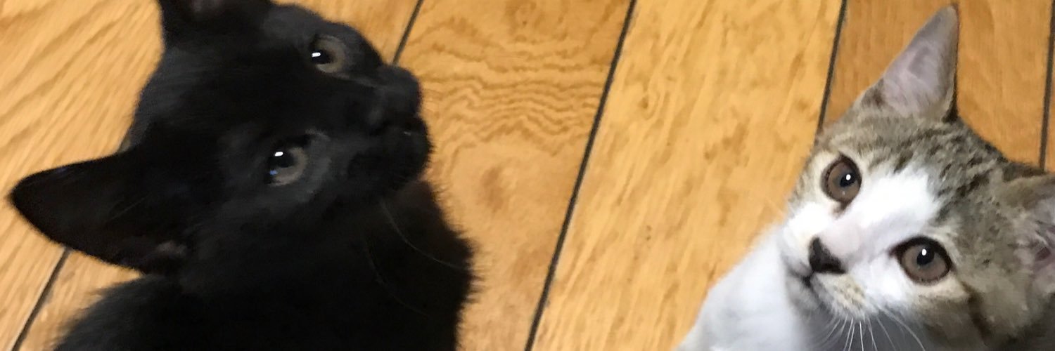 zakinosin's profile banner image