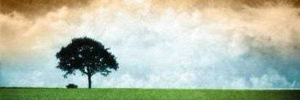 SnehasishFP Profile Banner