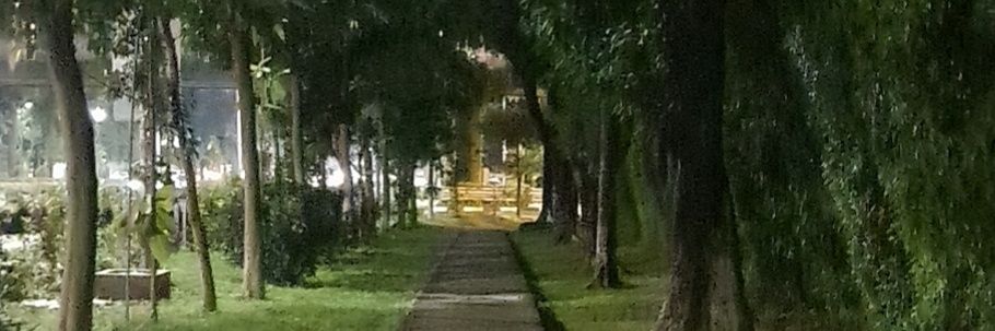 peiiiru's profile banner image