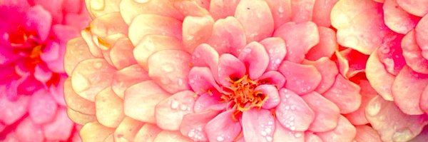 AgelessDiy Profile Banner