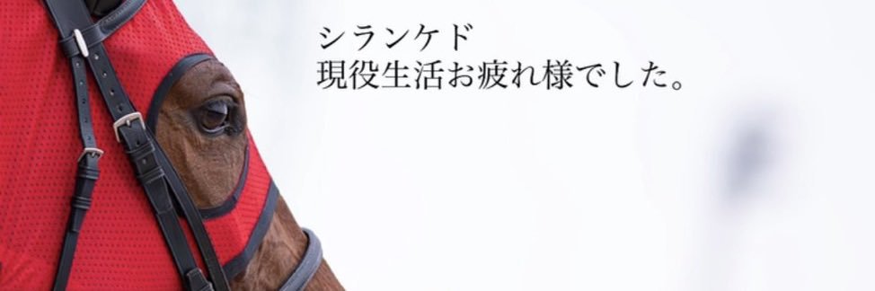 みそかつたん banner