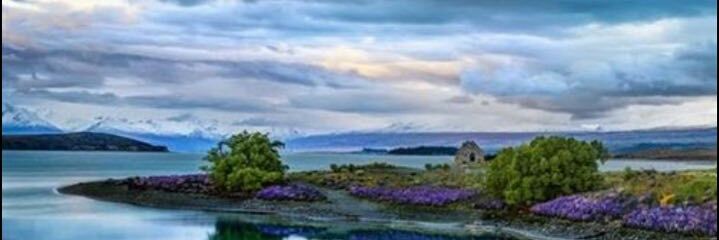 hasn200996's profile banner image