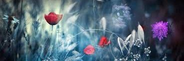 bcmfbfg's profile banner image