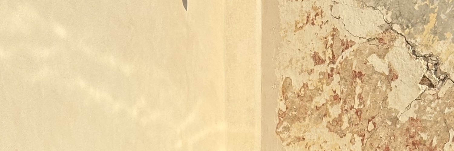 Fernandagrodrig's profile banner image