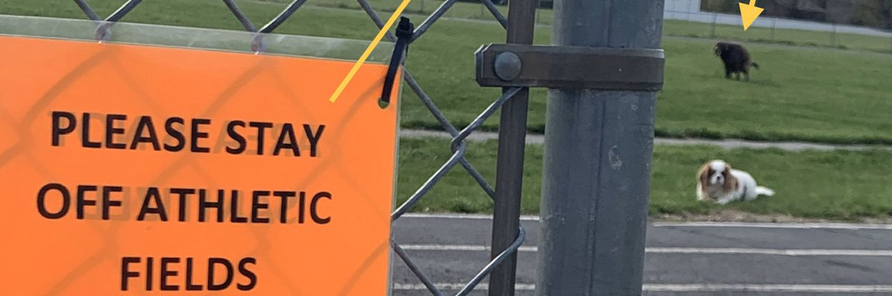 LouBiscuits_'s profile banner image